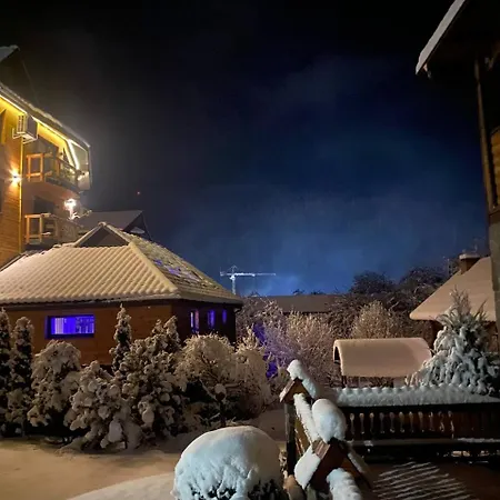Barvinok Karpat Villa Yaremche Dış mekan fotoğraf