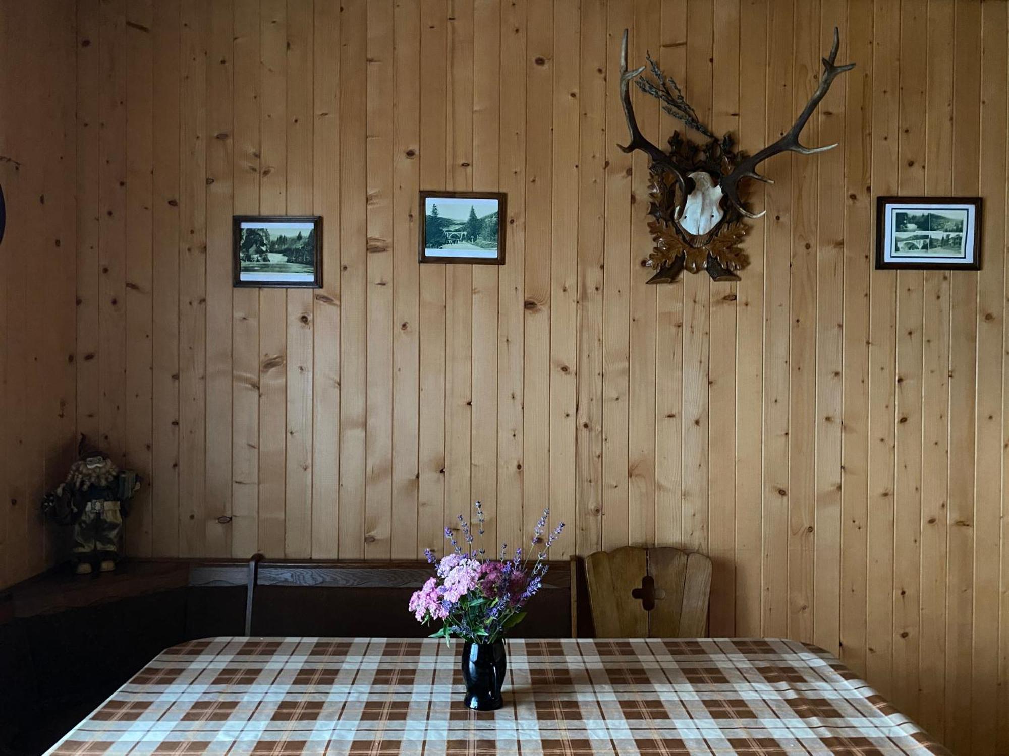 Villa Barvinok Karpat Yaremche